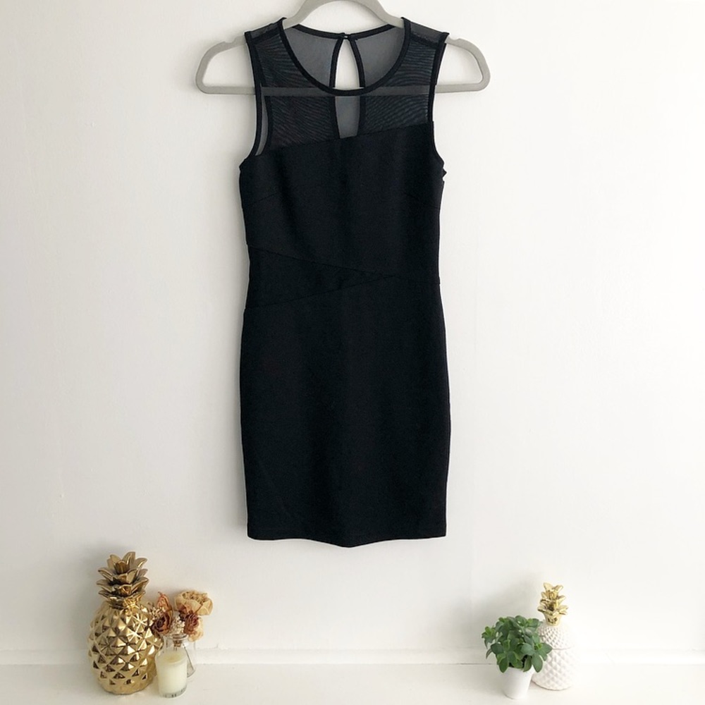Mesh Trim Fitted Bodycon Dress